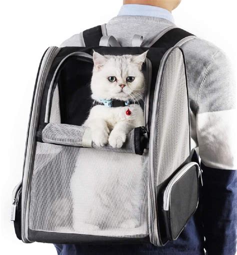 airline approved cat backpack.